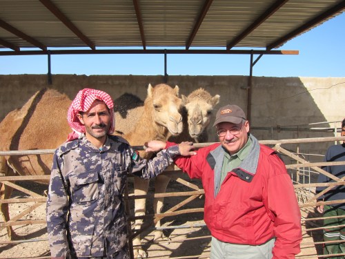 Omar-Syrian-Camels