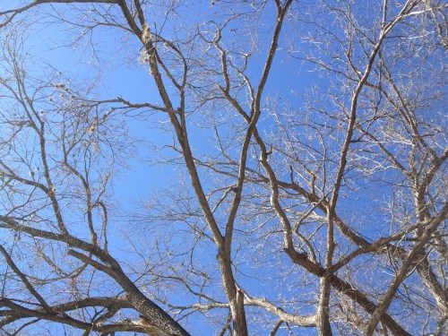 It was a beautiful day on the San Marcos River.