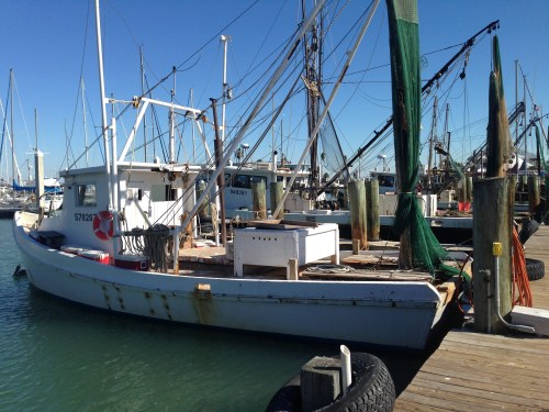 Shrimp Boats