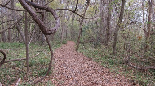 BB Red Buckeye Trail