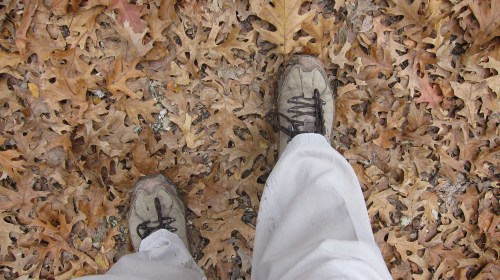 Shoes and Leaves