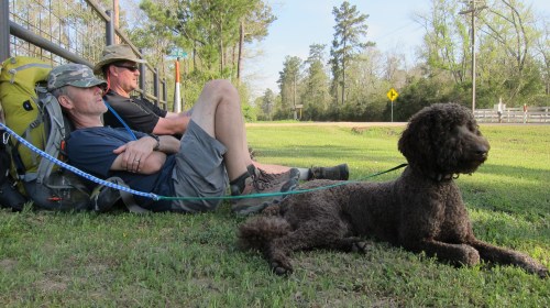 Resting Along FM 946