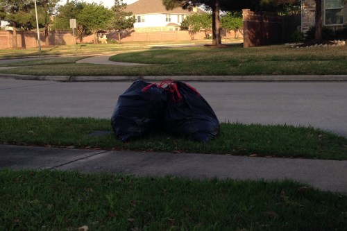 Trash Day