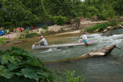 Melissa at Cottonseed