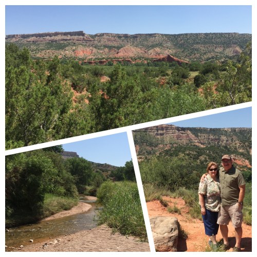 Processed with Moldiv