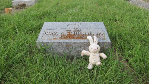 Our Baby & Teddy Bear