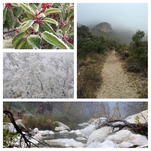 McKittrick Canyon Pics