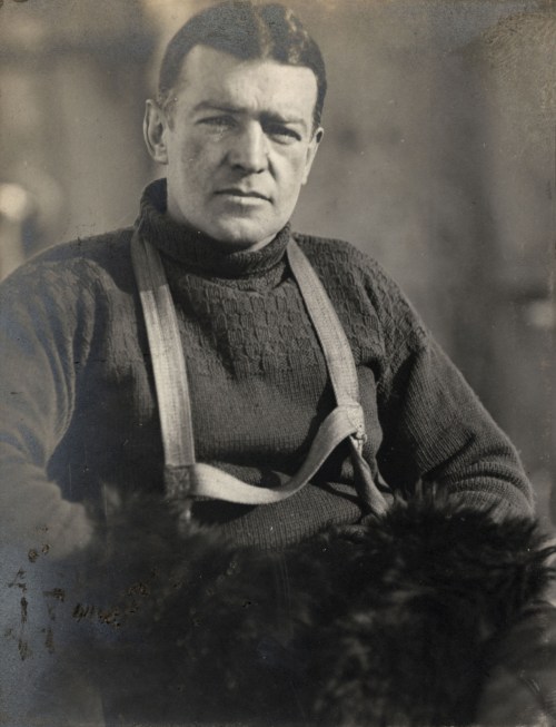 Shackleton