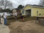 Habitat Sod Team&nbsp;B