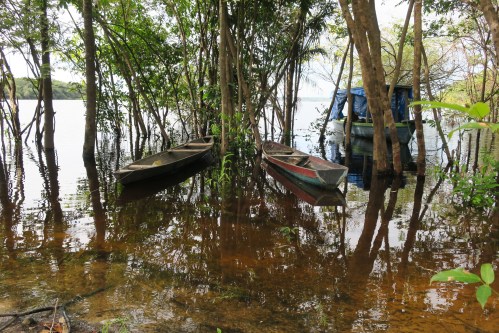 Amazon Boats