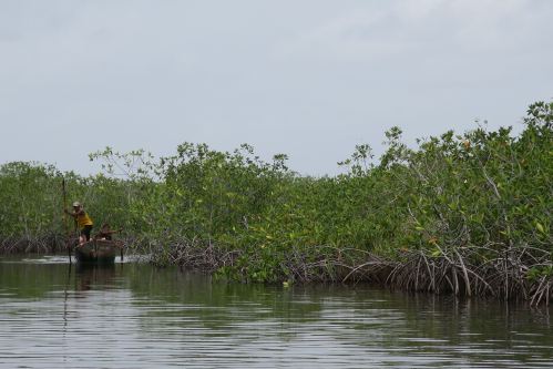 Miskito Canoe Front View