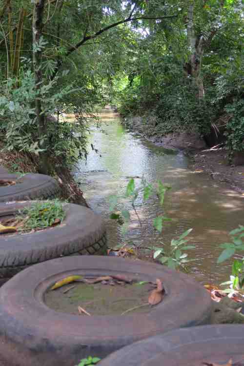 dirty-stream-in-el-maderal