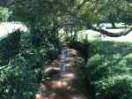 el-maderal-stream