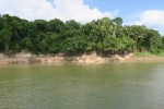 Along the Amazon