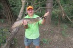 Omar’s Aruana Fish
